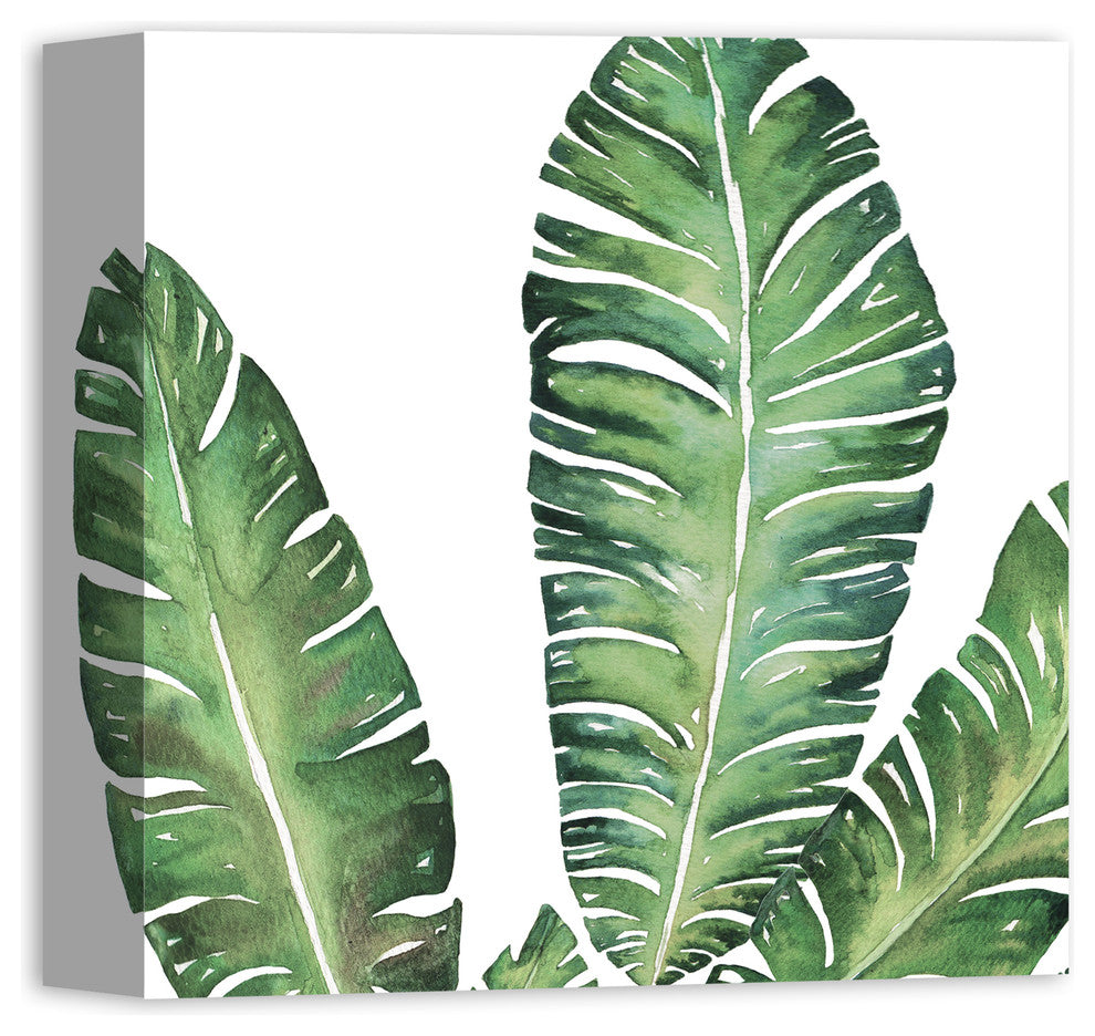 Banana Leaves 12x12 Canvas Wall Art