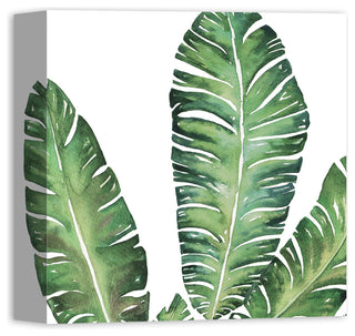 Banana Leaves 12x12 Canvas Wall Art