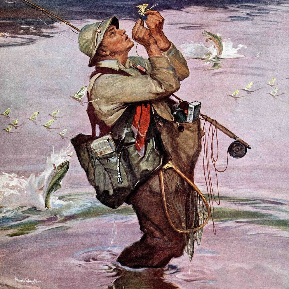 "The Fish are Jumping" Painting Print on Canvas by Mead Schaeffer