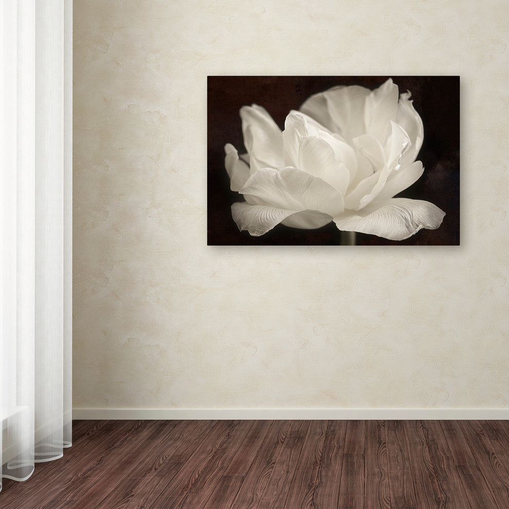 Cora Niele 'White Tulip III' Canvas Art