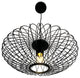 Alitzel 1-Light Black Oval Pendant
