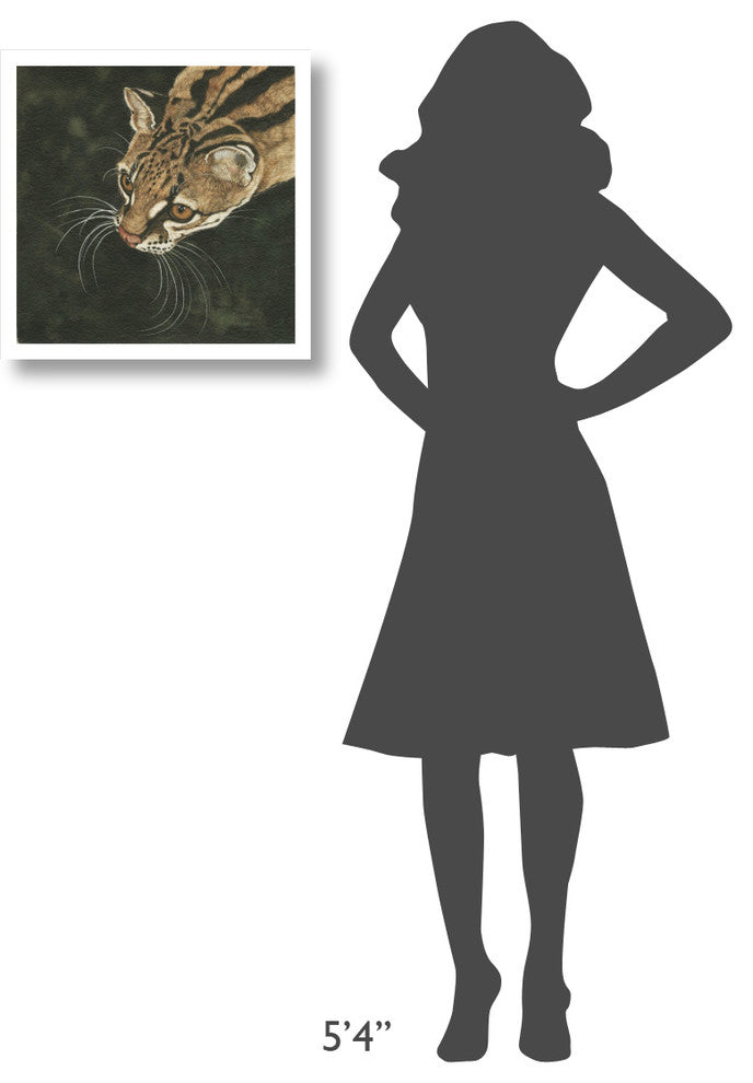 "The Margay" Digital Paper Print by Jacquie Vaux, 20"x20"