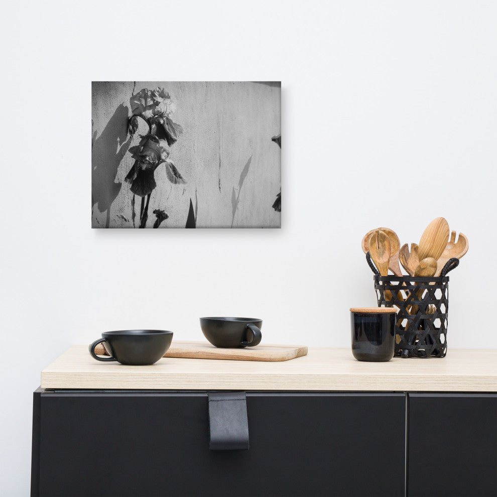 Iris on Wall Black and White Floral Nature Photo Canvas Wall Art Print, 12" X 16"