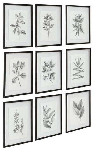 Uttermost Farmhouse Florals Iron Glass Cotton Prints in Black/White (Set of 9)