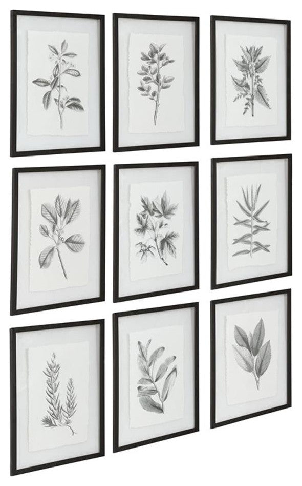 Uttermost Farmhouse Florals Iron Glass Cotton Prints in Black/White (Set of 9)