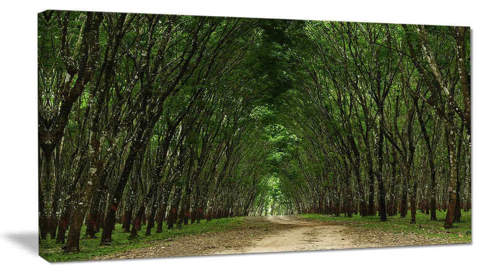 "Pathway in Thick Green Forest" Landscape Canvas Photo Print, 40"x20"