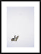 "Timber Wolf pair howling in snow, North America"  by Tim Fitzharris, 24x32"