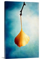 "Digital Love" Wrapped Canvas Art Print, 16"x24"x1.5"