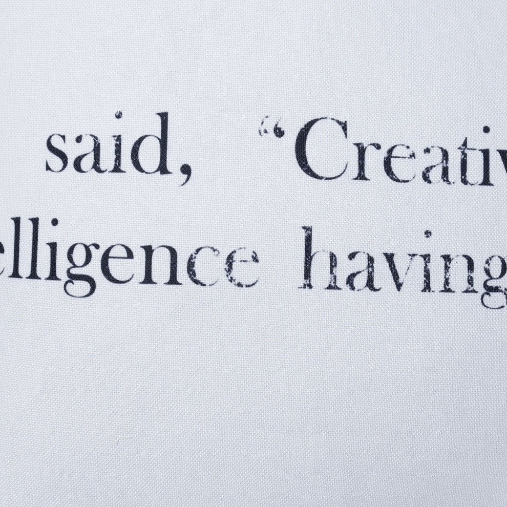 Dann Foley Double Sided Pillow Einstein Quote Gray Velvet 24" X 24"