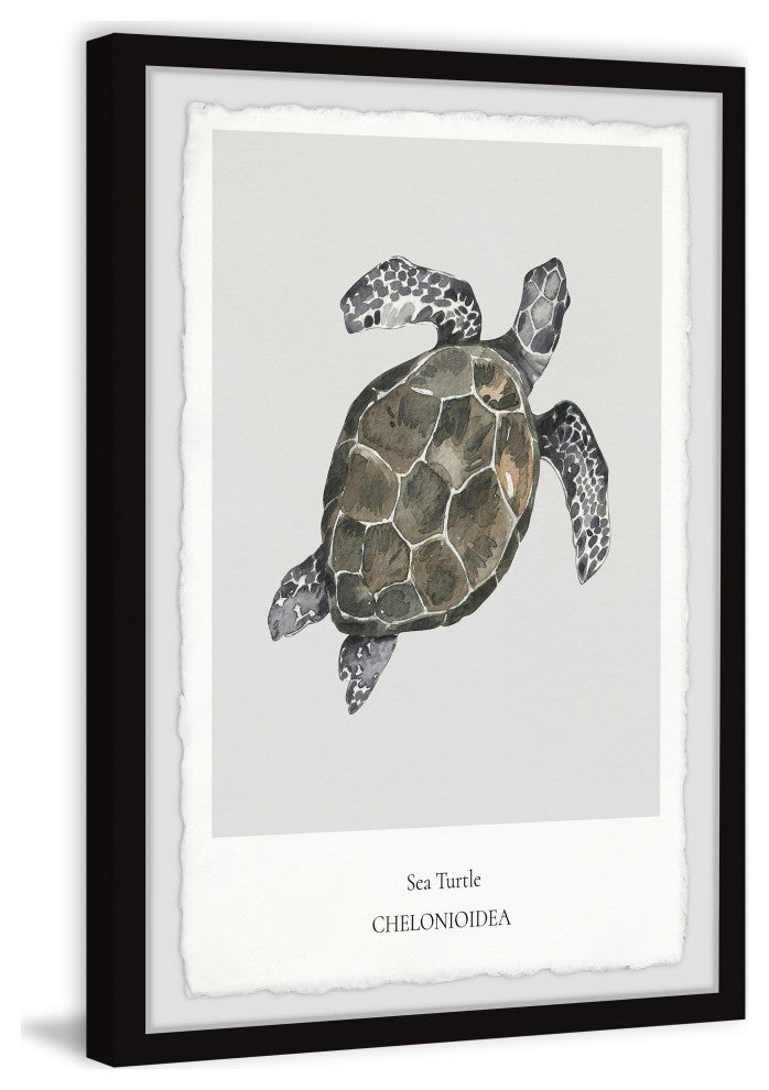 "Chelonioidea" Framed Painting Print, 30x45