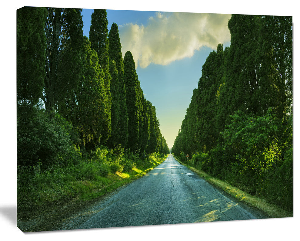 Straight Cypress Trees Boulevard, Modern Landscape Canvas Art, 60"x28"