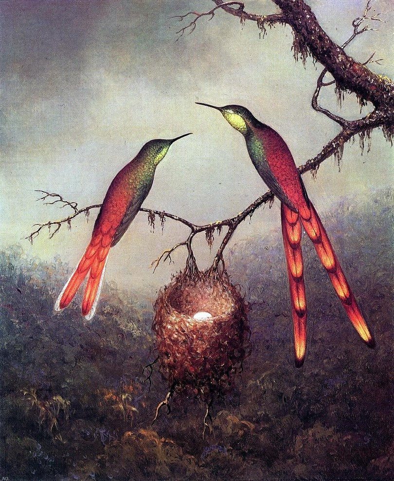 Martin Johnson Heade Two Hummingbirds Garding an Egg Wall Decal