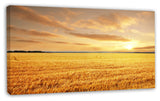 Large Field under Cloudy Sky, Extra Large Landscape Canvas Art, 32"x16"