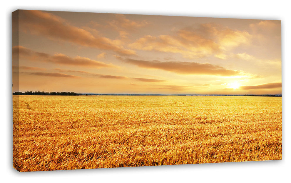 Large Field under Cloudy Sky, Extra Large Landscape Canvas Art, 32"x16"