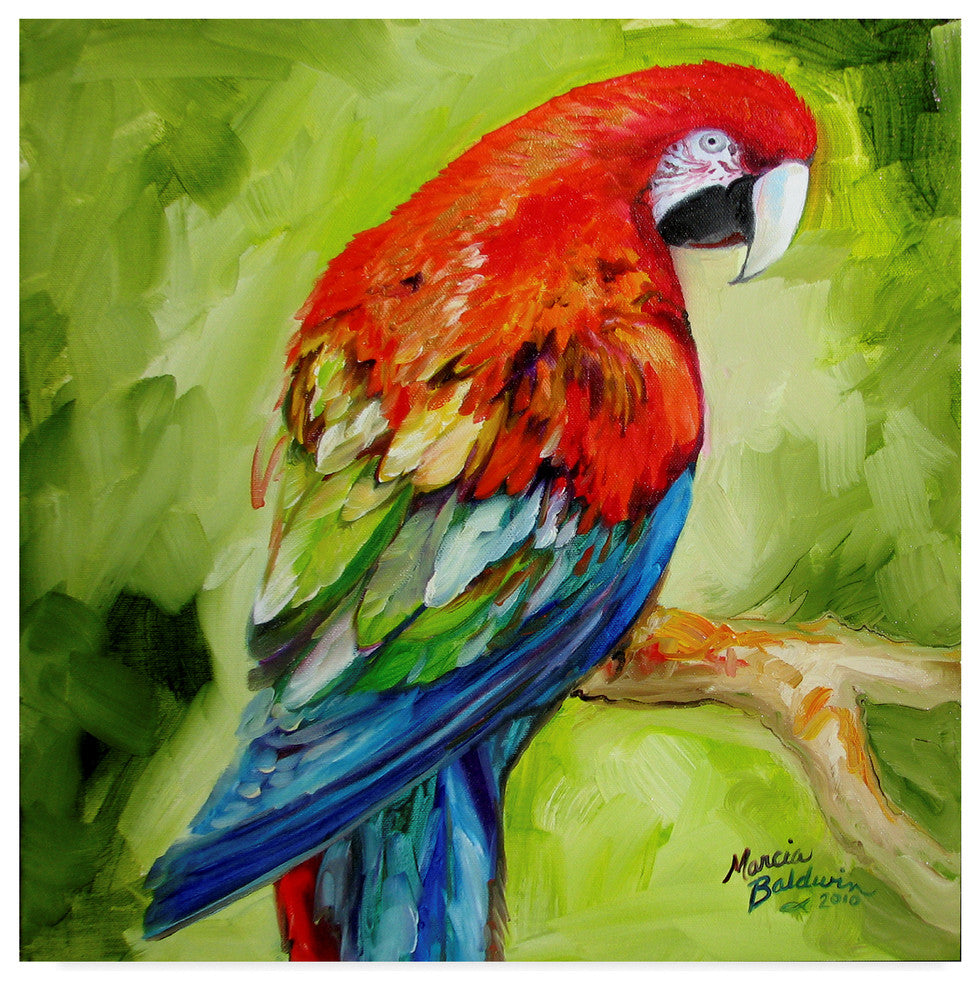 Marcia Baldwin 'Macaw Tropical' Canvas Art, 14"x14"