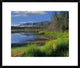 Nutzotin Mountains and Boreal Forest Reflected In Receding Lake, Alaska, 26"x22"