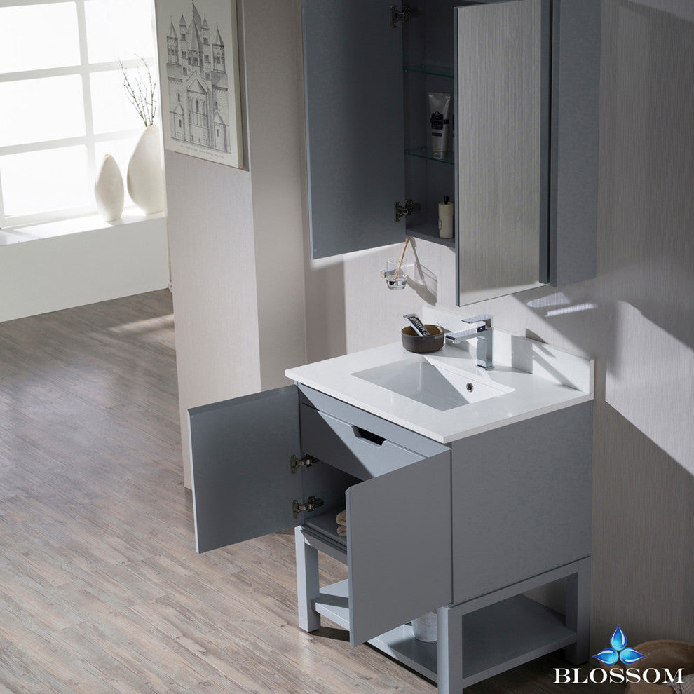 Monaco 30" Vanity Set With Medicine Cabinet