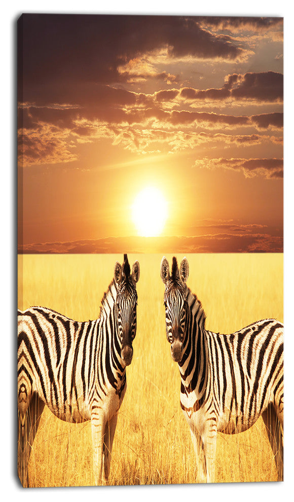 Pair of Zebras in Field At Sunset, African Canvas Art Print, 16"x32"