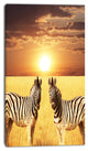 Pair of Zebras in Field At Sunset, African Canvas Art Print, 16"x32"