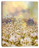 Beautiful Chamomiles Field, Oversized Landscape Canvas Art, 30"x40"