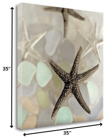 13" Four Starfish and Faded Seaglass 4 Giclee Wrap Canvas Wall Art