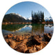 Beautiful Clear Lake With Pine Trees, Landscape Disc Metal Artwork, 11"