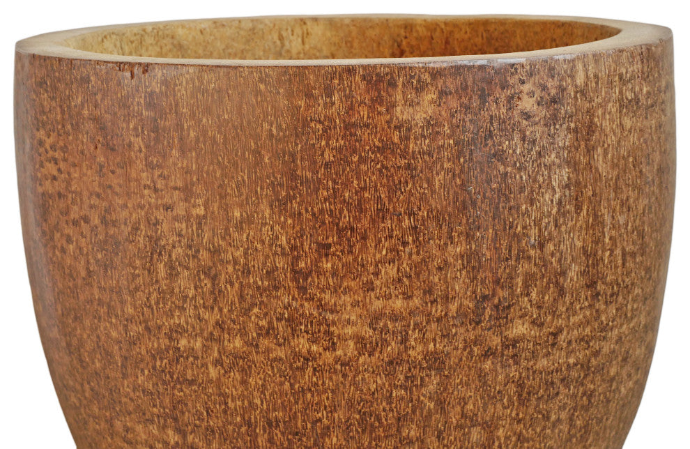 Coconut Palm Pot Short