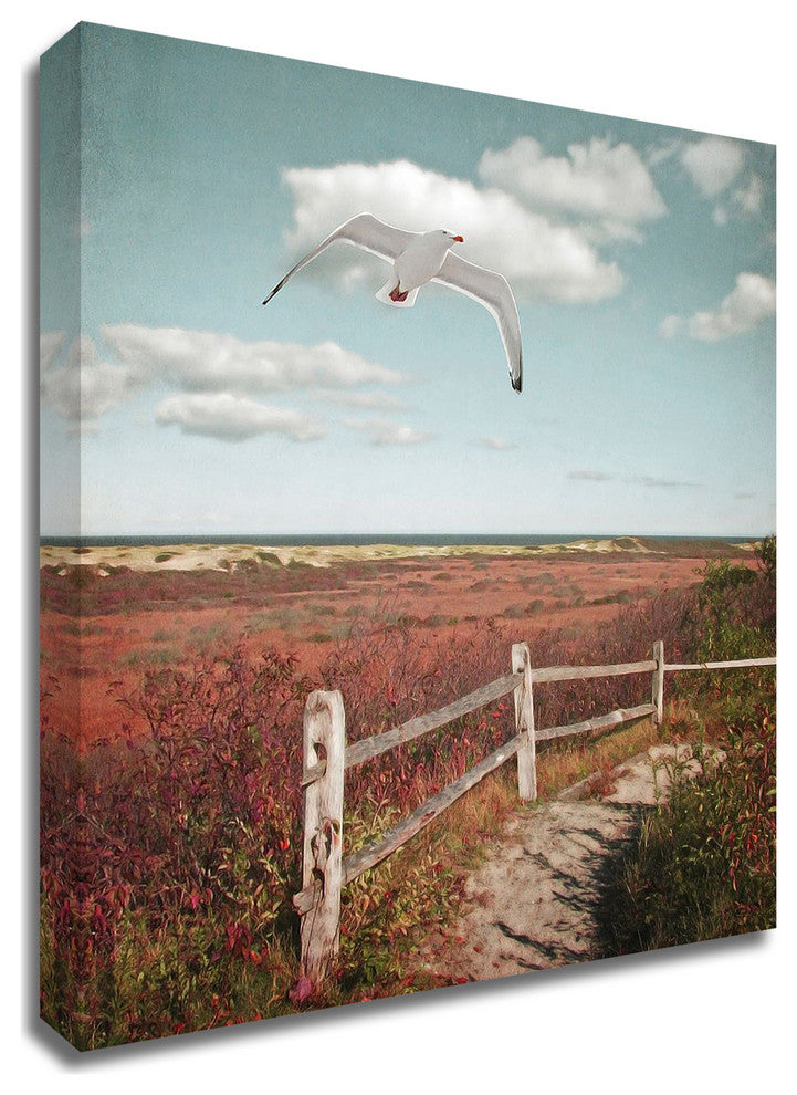 Gull over Coastal Trail by Brooke T. Ryan, Print on Canvas, 11" x 14"