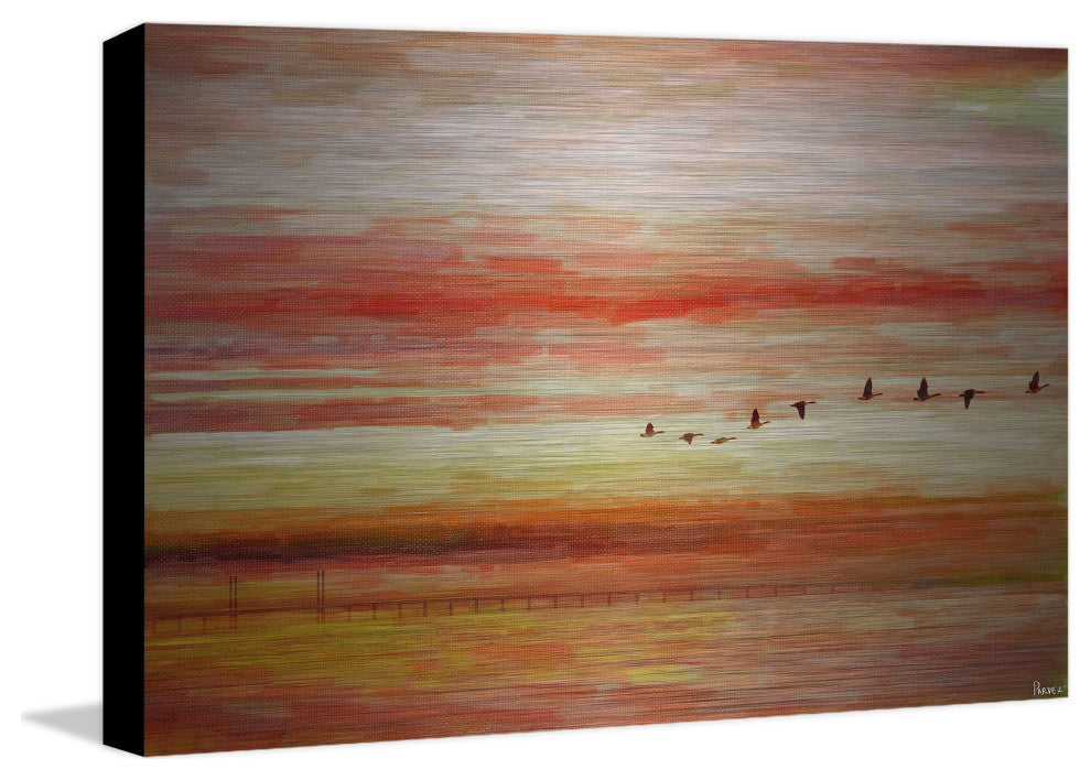 "Flying South" UV Ink Print on Brushed  Aluminum, 45"x30"