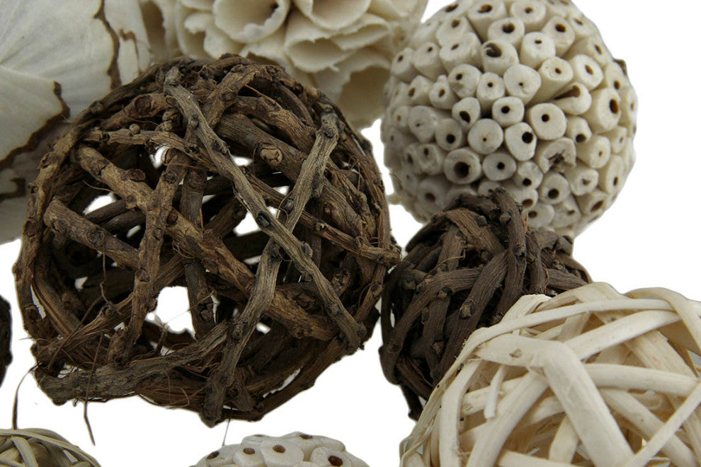 18 Pc. Exotic Dried Organic Decorative Spheres Natural Brown
