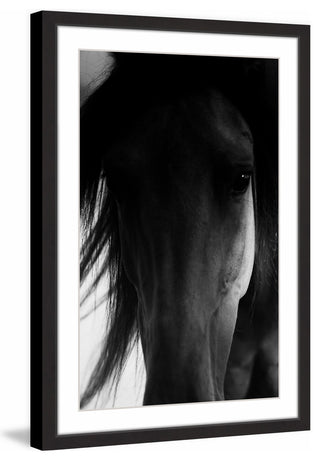 "Shadow Horse" Framed Art Print, 41x61 cm