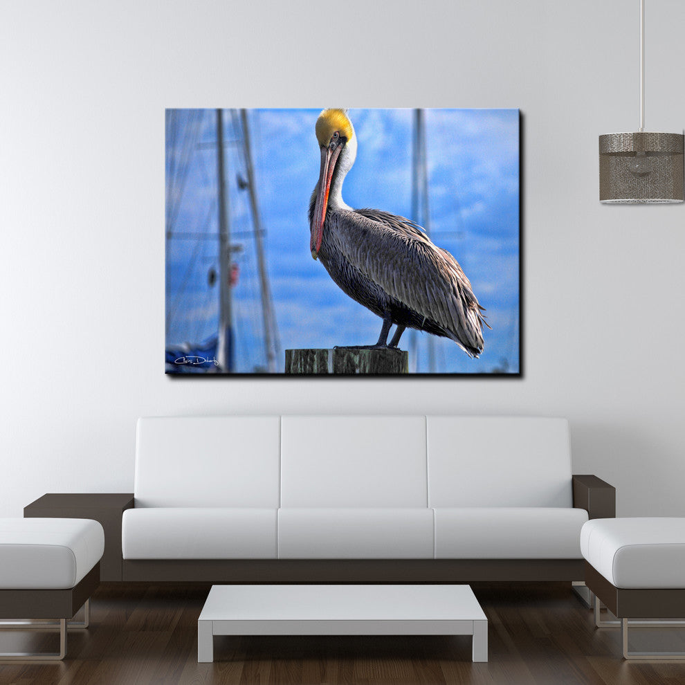 Ready2hangart Chris Doherty 'Pelican' Canvas Wall Art