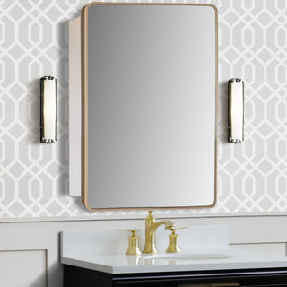 Rectangular metal Frame Medicine Cabinet, Brushed Gold