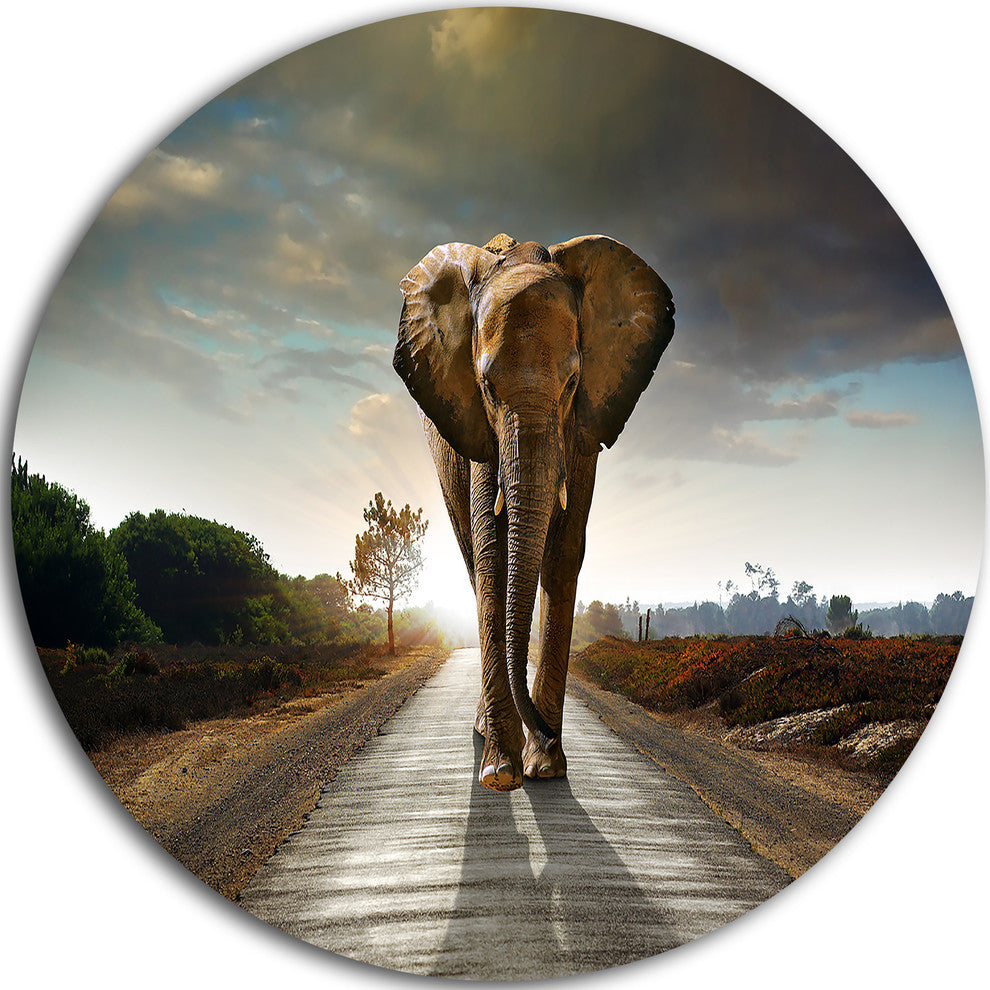 Single Walking Elephant, Photography Large Disc Metal Wall Art, 11"