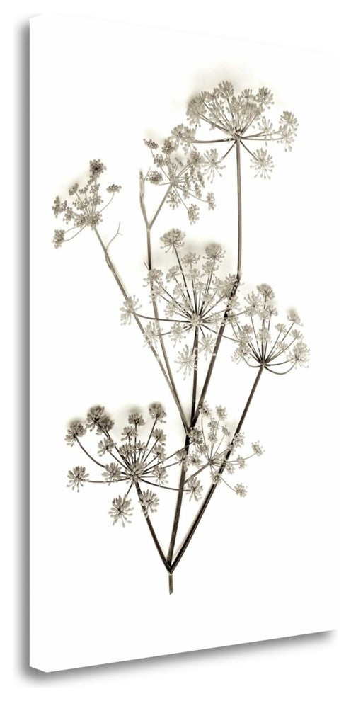 "Garden Bloom - 12" By Alan Blaustein, Giclee Print on Gallery Wrap Canvas