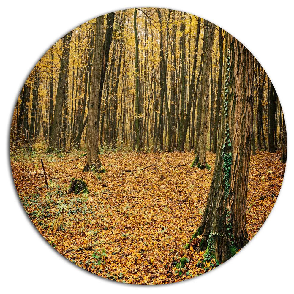 Beautiful Autumn Forest In Mountains, Forest Disc Metal Wall Art, 11"