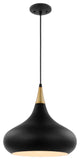 Phoenix 1-Light Medium Pendant, Matte Black With Burnished Brass