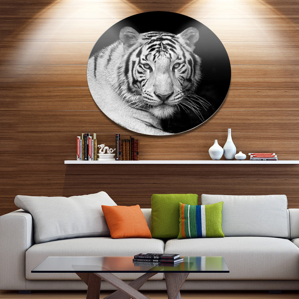 Staring Bengal White Tiger, Animal Art Round Wall Art, 36"