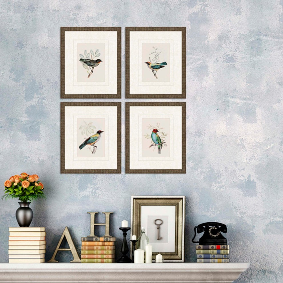 On Perch I, Set of 4
