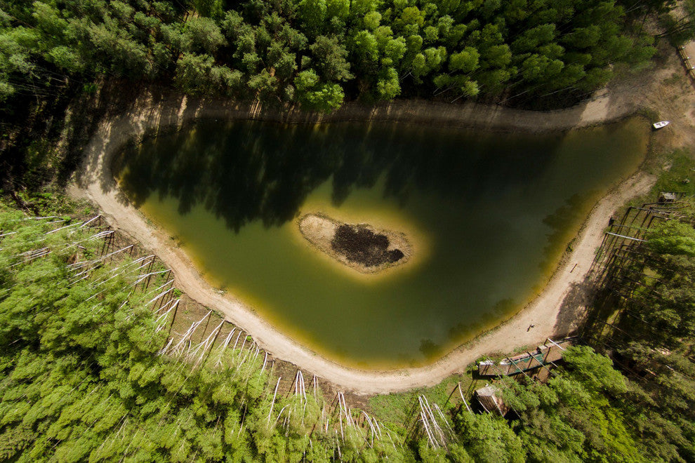 "Green Lake" Painting Print on Canvas by Karolis Janulis