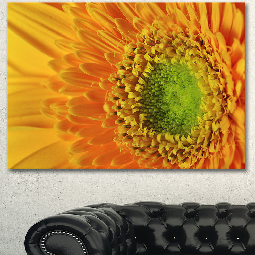 Yellow Daisy Gerbera Flower Close up, Flowers Canvas Wall Artwork, 40"x30"