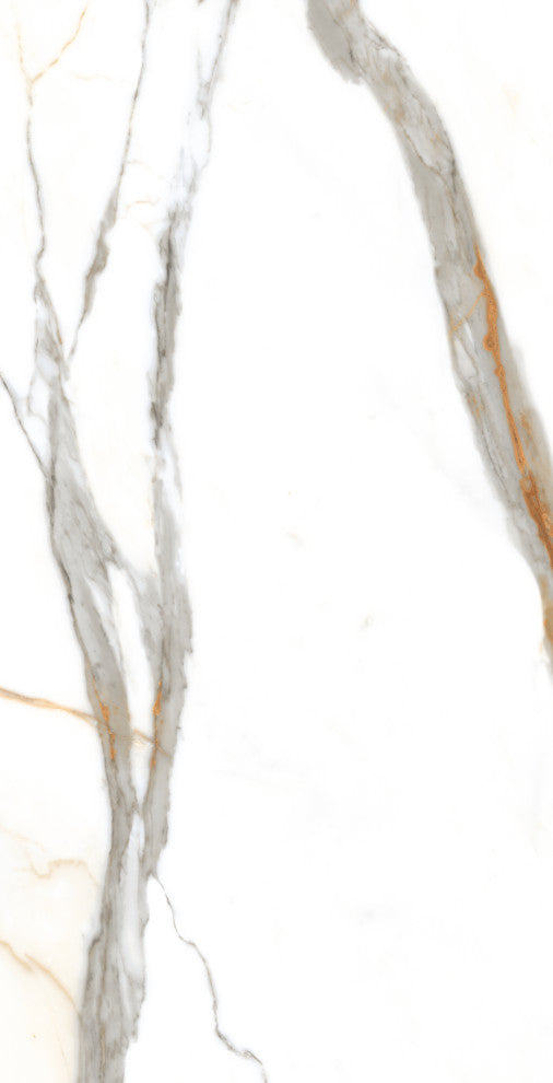 Calacatta Gold Porcelain Marble Look Matte Wall and Floor Tile, 24x48