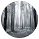 Black And White Foggy Forest, Forest Disc Metal Wall Art, 11"