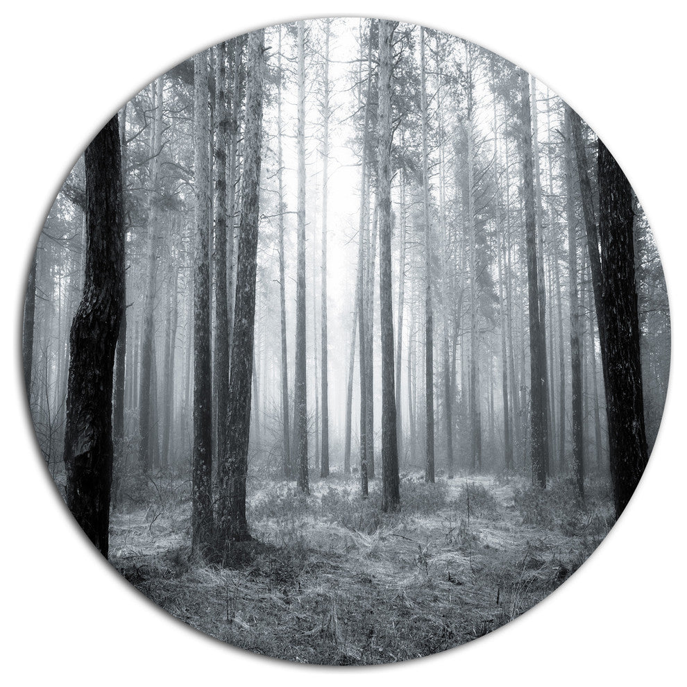 Black And White Foggy Forest, Forest Disc Metal Wall Art, 11"