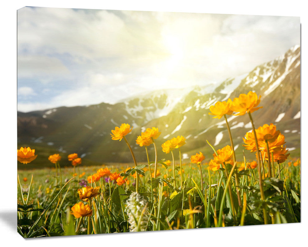 Mountain Pasture with Yellow Flowers, Floral Canvas Art Print, 40"x30"