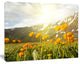Mountain Pasture with Yellow Flowers, Floral Canvas Art Print, 40"x30"
