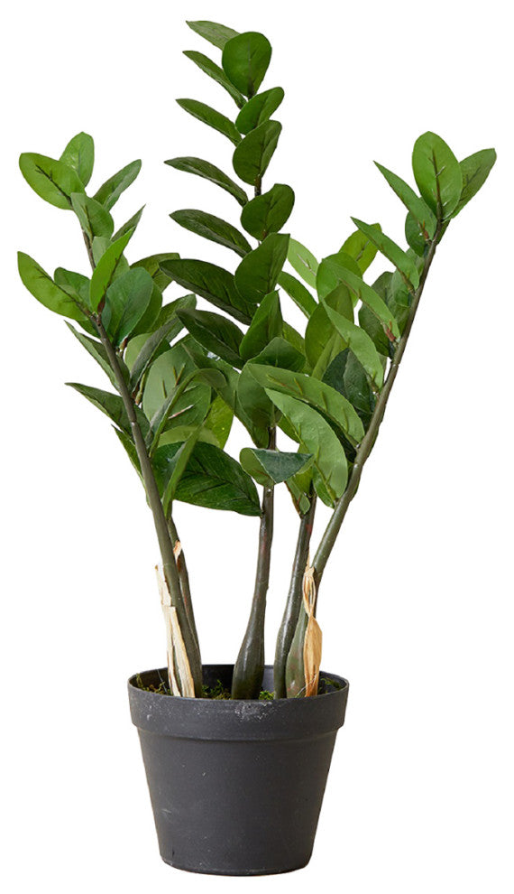 Serene Spaces Living Faux Zanzibar Gem Plant in Black Pot, 24"