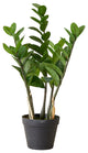 Serene Spaces Living Faux Zanzibar Gem Plant in Black Pot, 24"