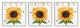 Love Grows Here Phrase Yellow Sunflowers Honey Bees,3pc, each 12 x 12