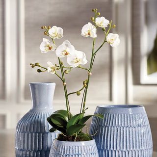 Lifestyle image: product shown in a real room environment; entire orchid arrangement visible; no overlays.